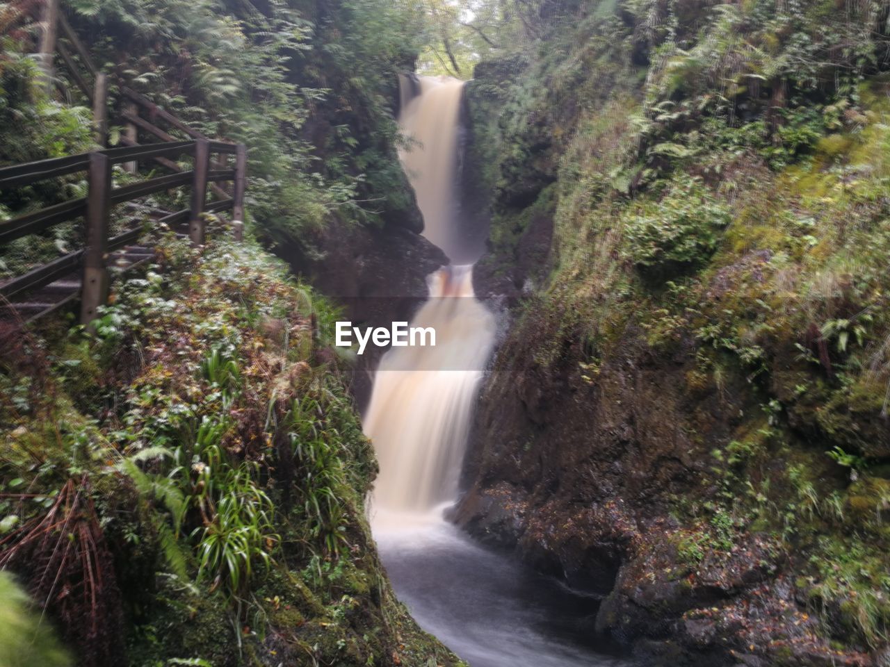 SCENIC VIEW OF WATERFALL AMIDST TREES IN FOREST