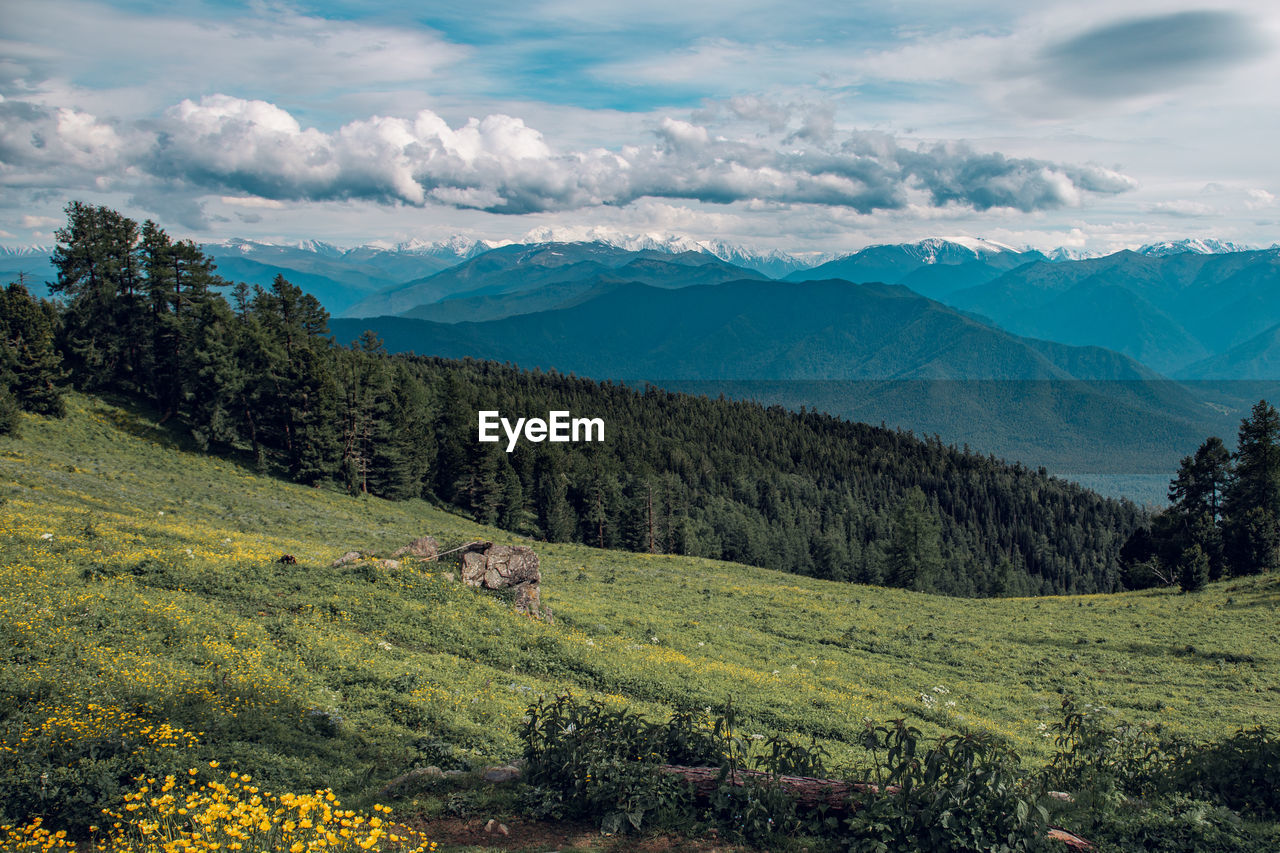 Beautiful scenery of colorful altai mountains, flowers and partly clouded sky. 