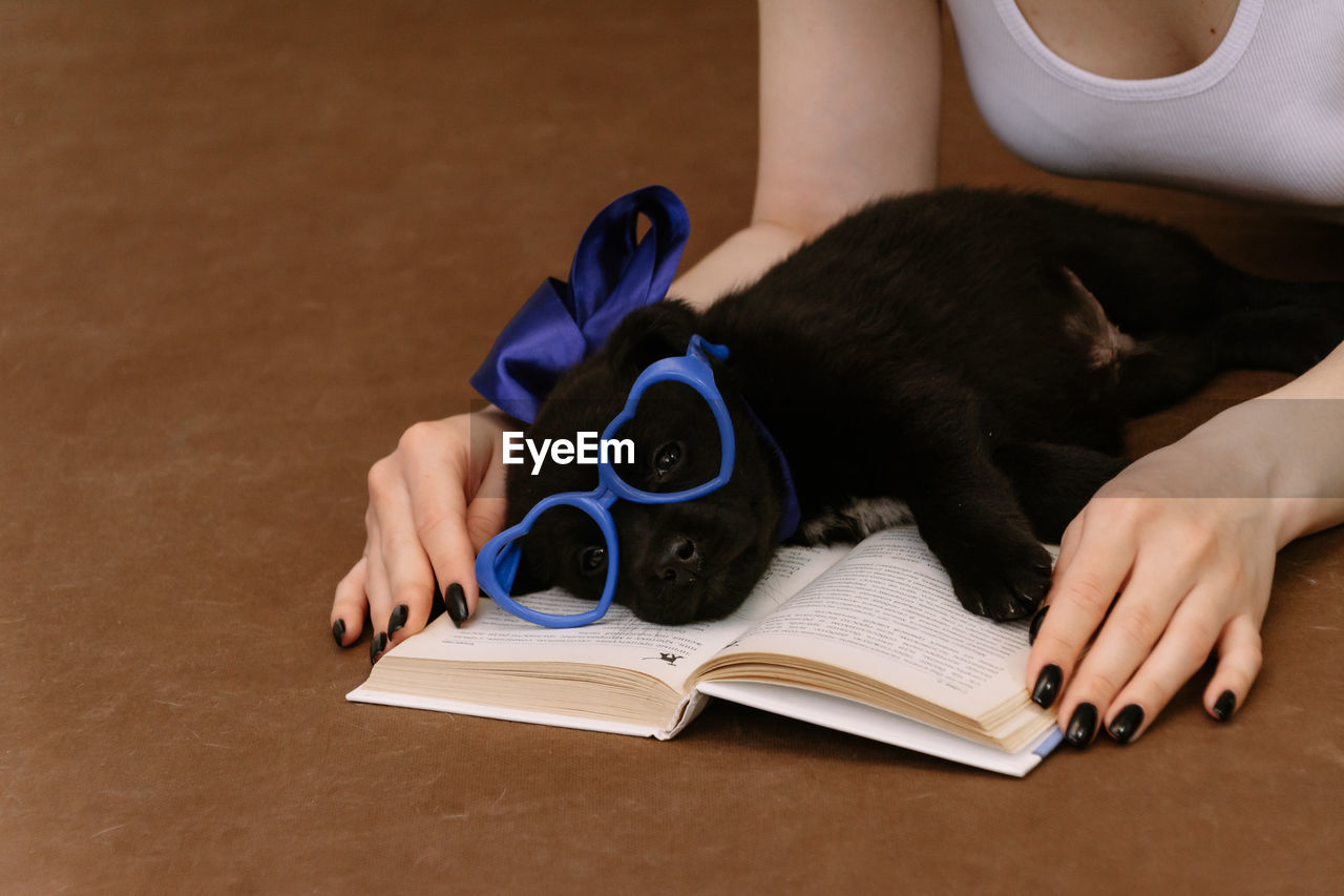Black puppy with blue toy glasses is lying on a book