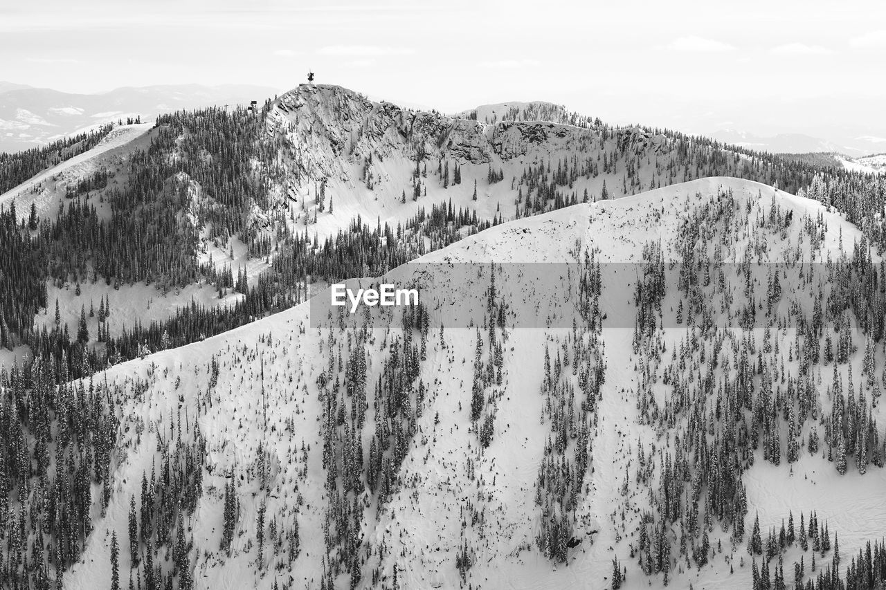 High angle view of pine trees on snowcapped mountain against sky