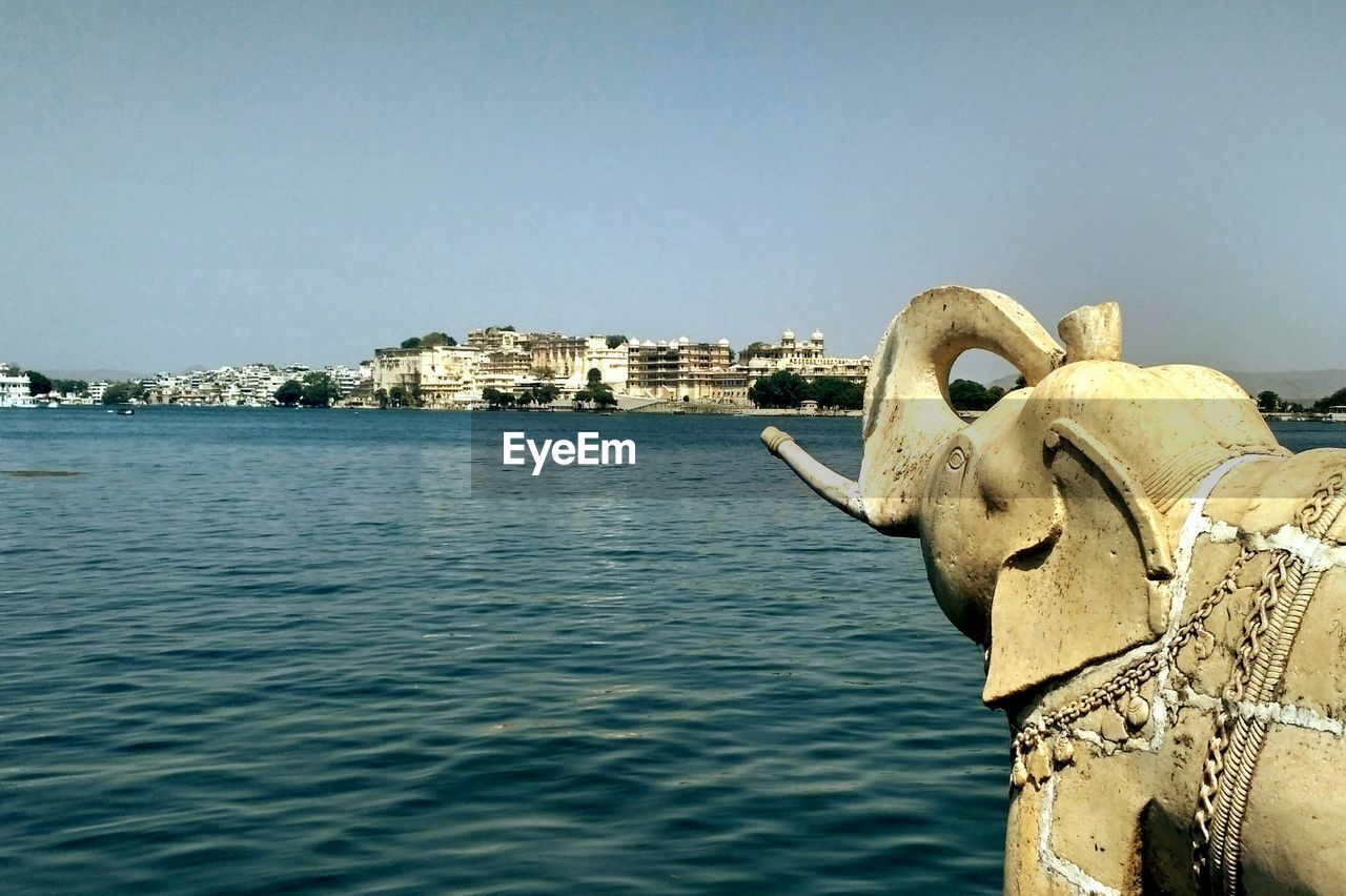 HORSE IN WATER AGAINST SKY