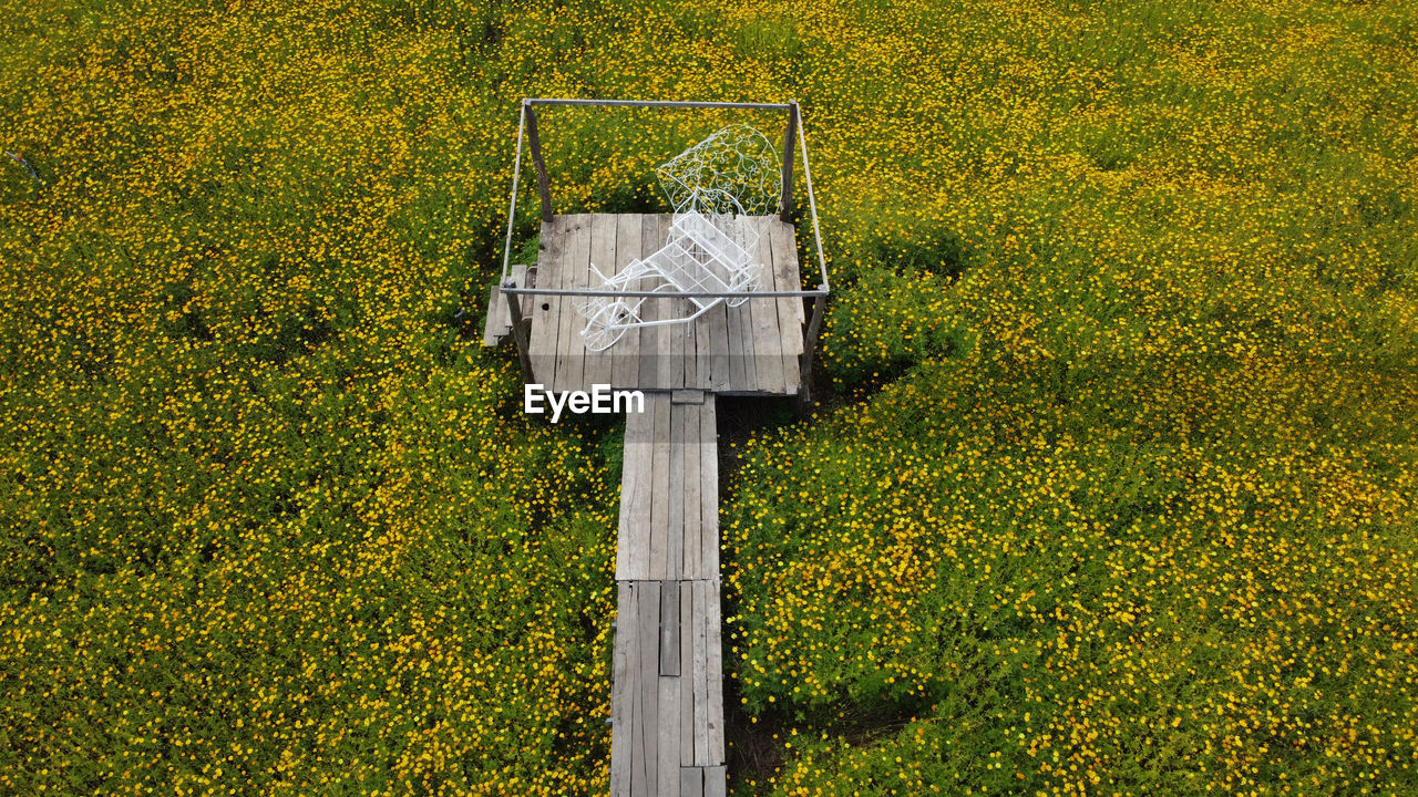 INFORMATION SIGN ON FIELD BY YELLOW FLOWERS