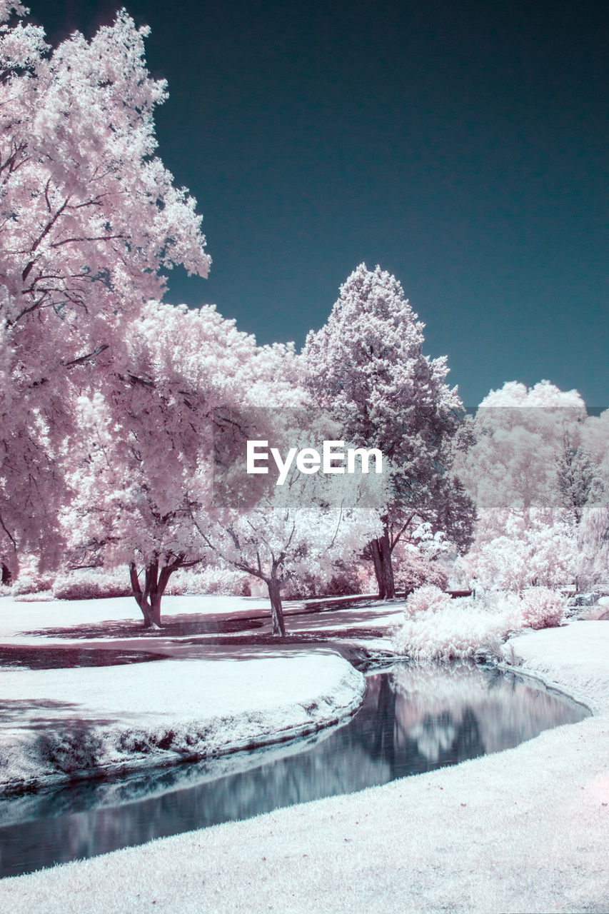 Snow covered trees by frozen lake against sky infrared