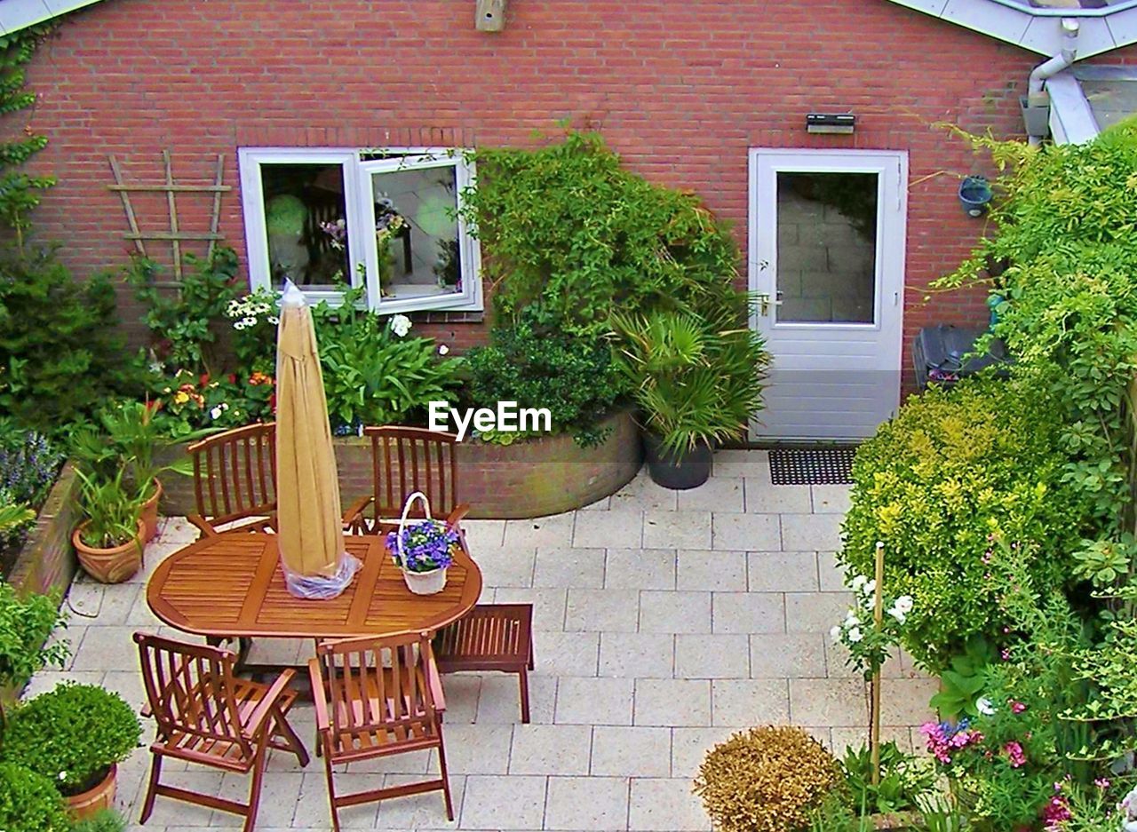 POTTED PLANTS ON BUILDING