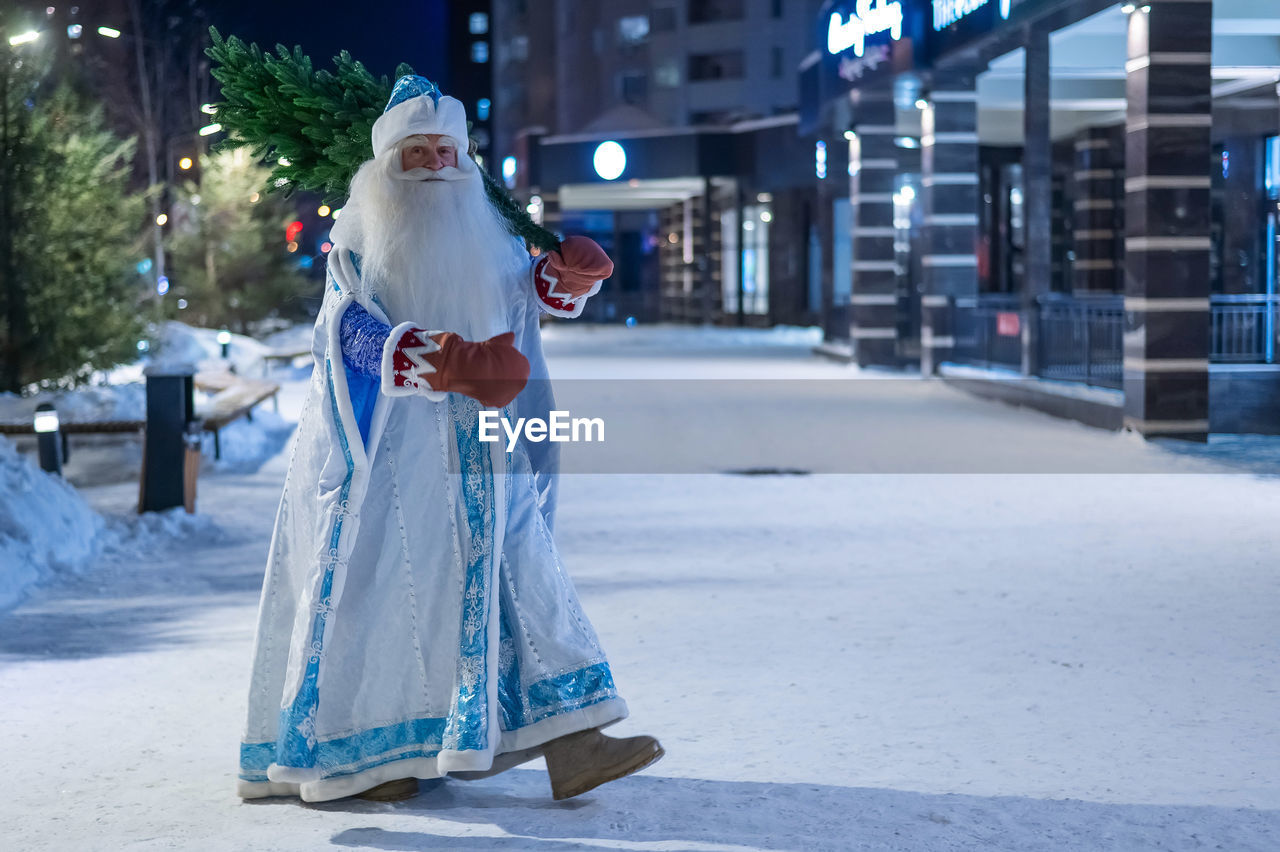 Russian santa claus carries a christmas tree outdoors