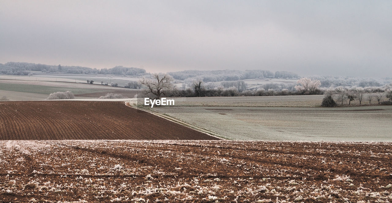 Scenic view of agricultural landscape against sky