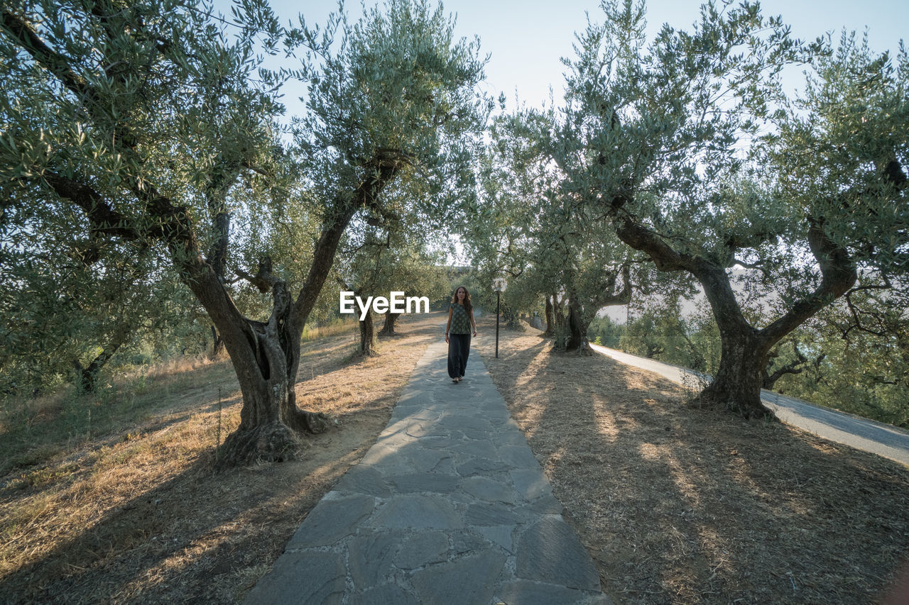 REAR VIEW OF MAN WALKING ON ROAD ALONG TREES