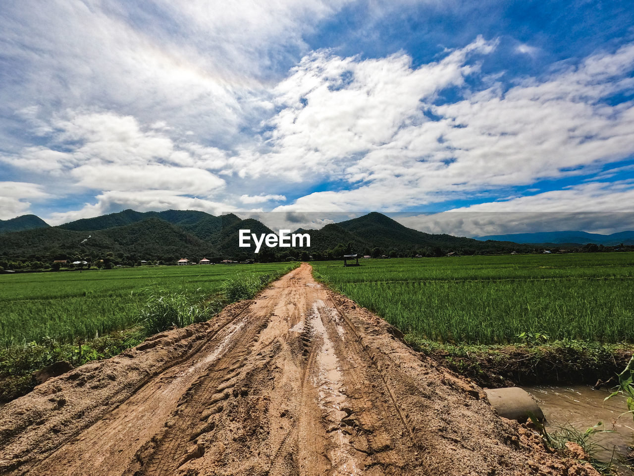 Scenic view of agricultural field against sky