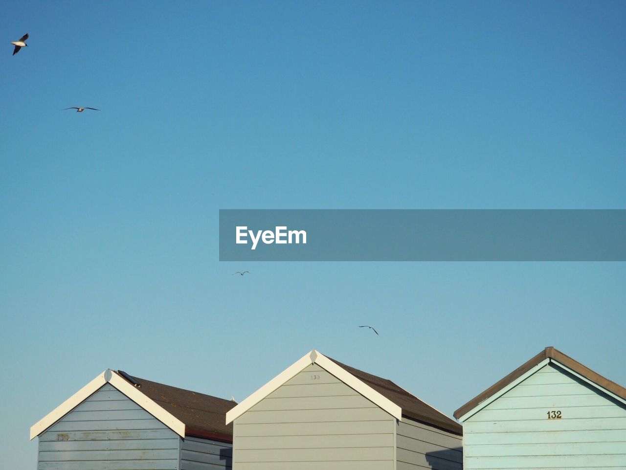 Low angle view of seagulls flying over beach huts against clear sky