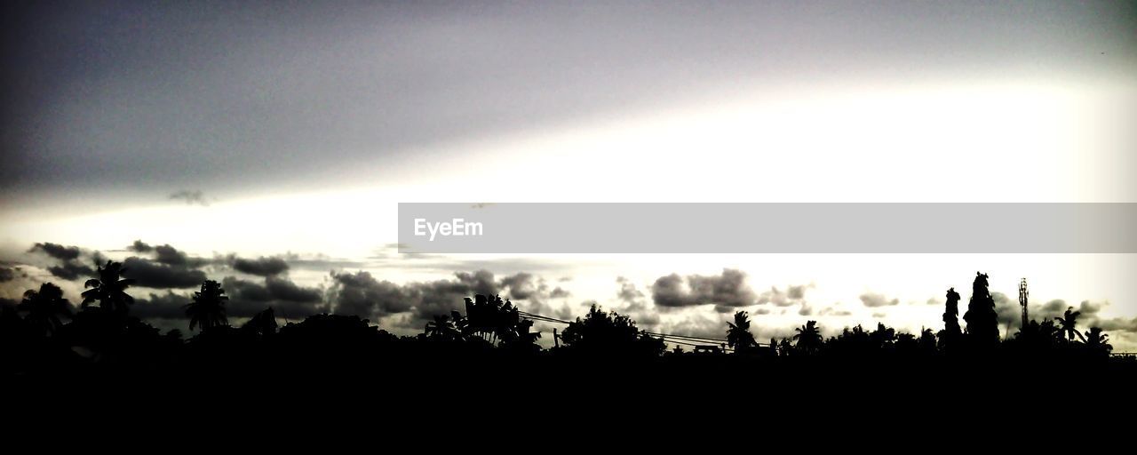 SILHOUETTE TREES AGAINST SKY AT SUNSET