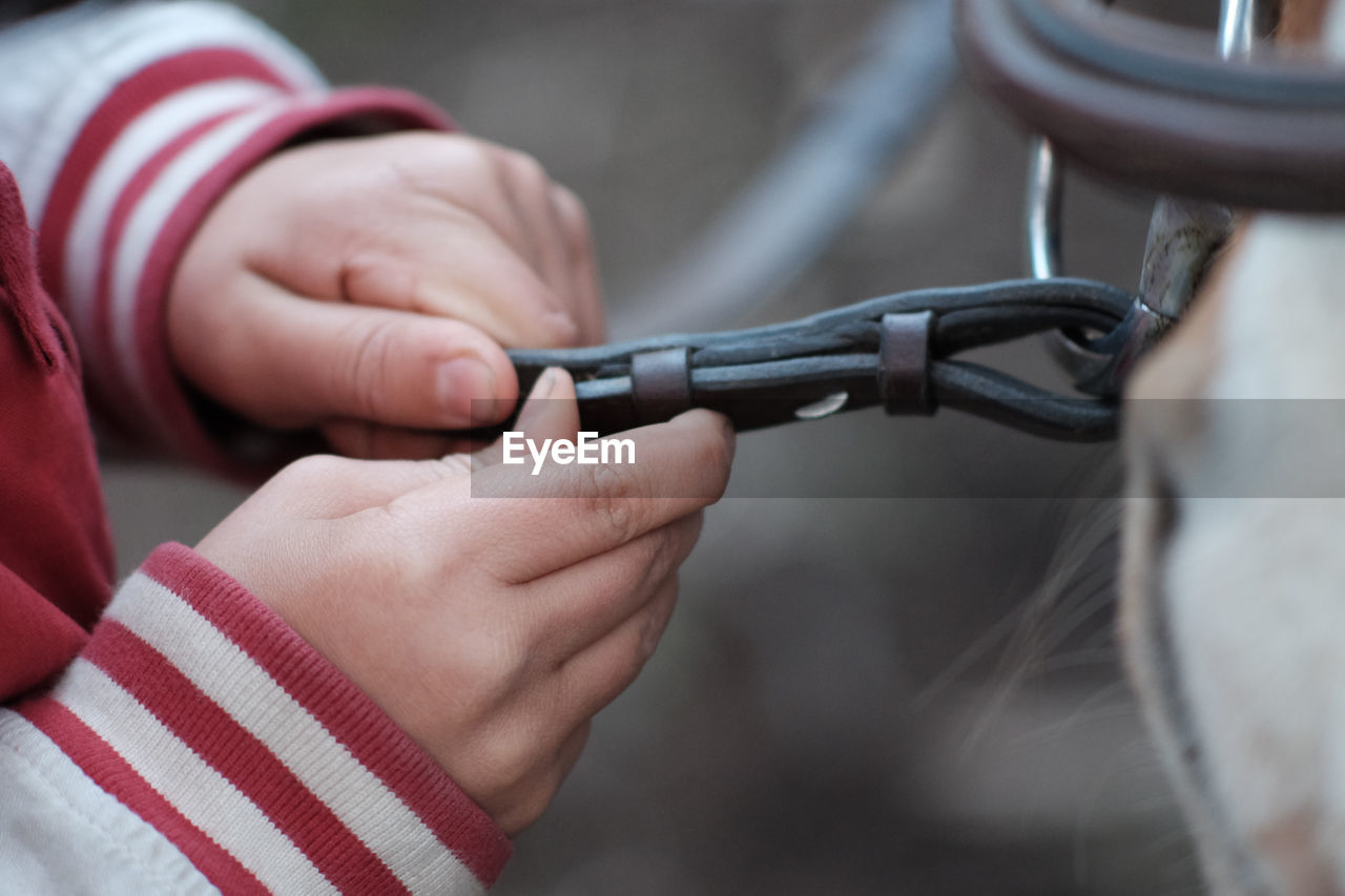 Cropped image of hands holding pet leash