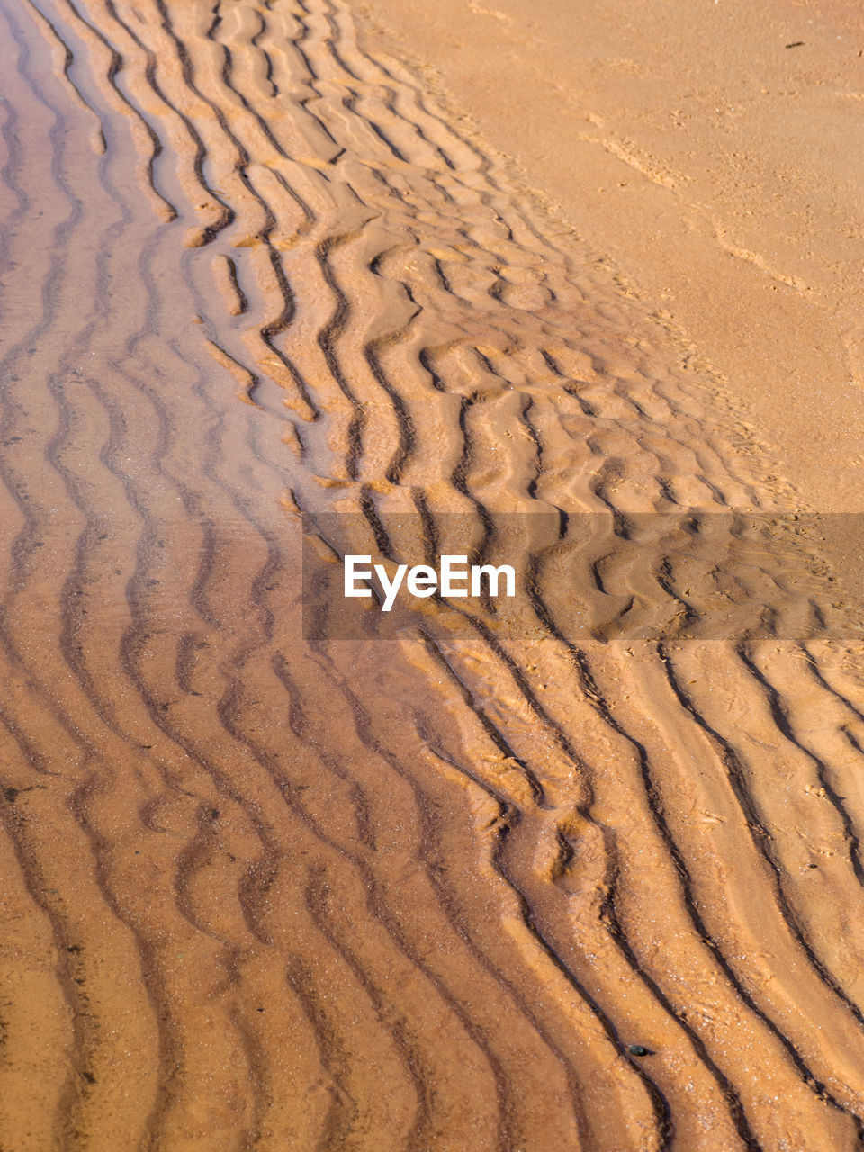 Background from fine and wet sand, sand textures, sand beach background.