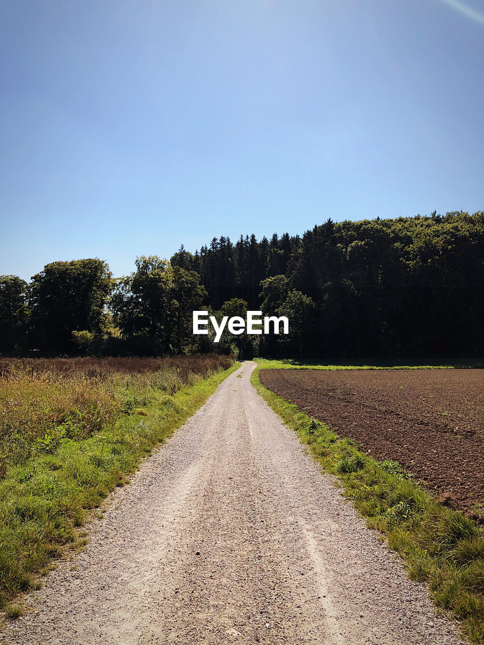 Road amidst field against clear sky