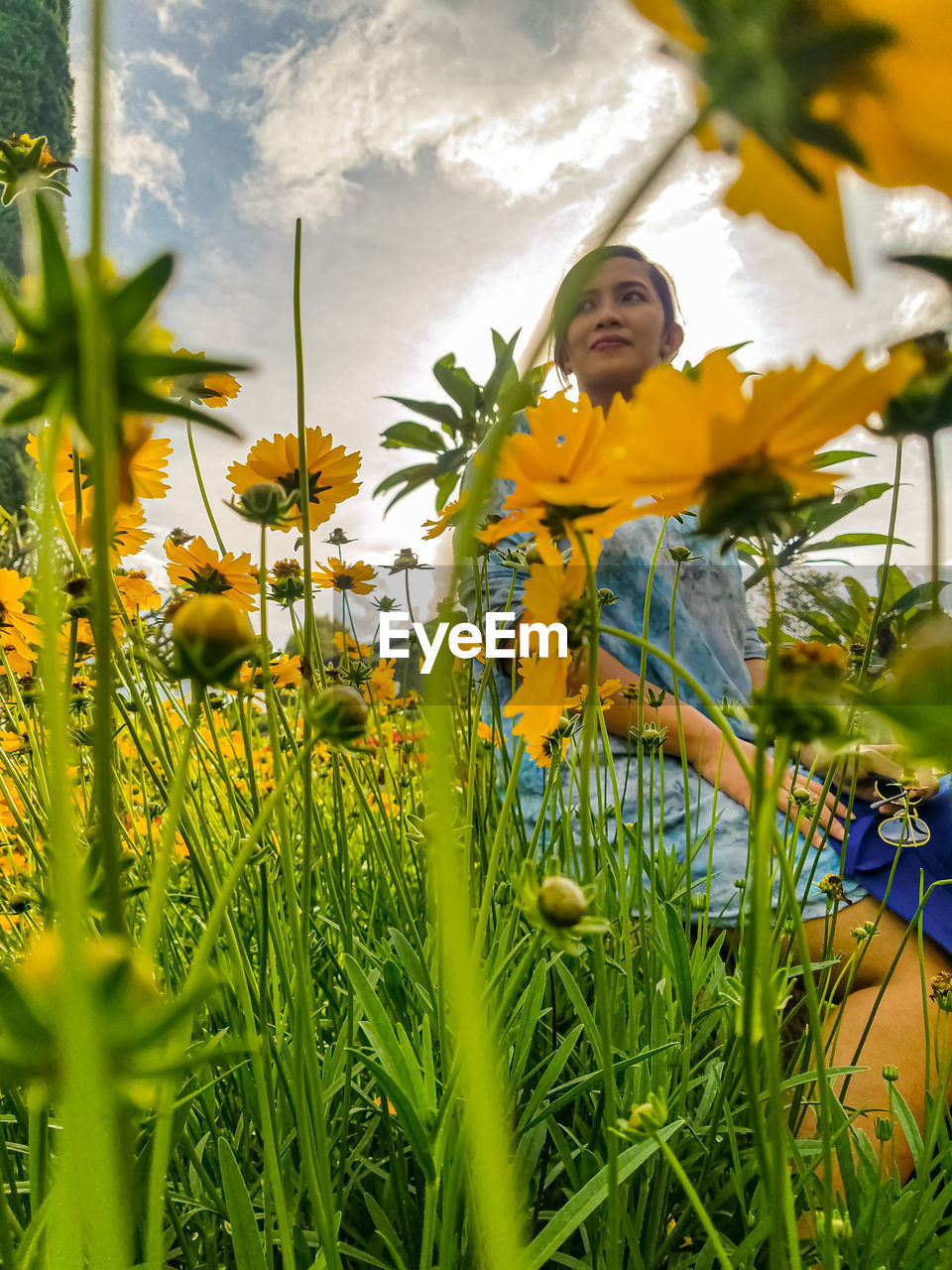 WOMAN WITH YELLOW FLOWERS ON FIELD