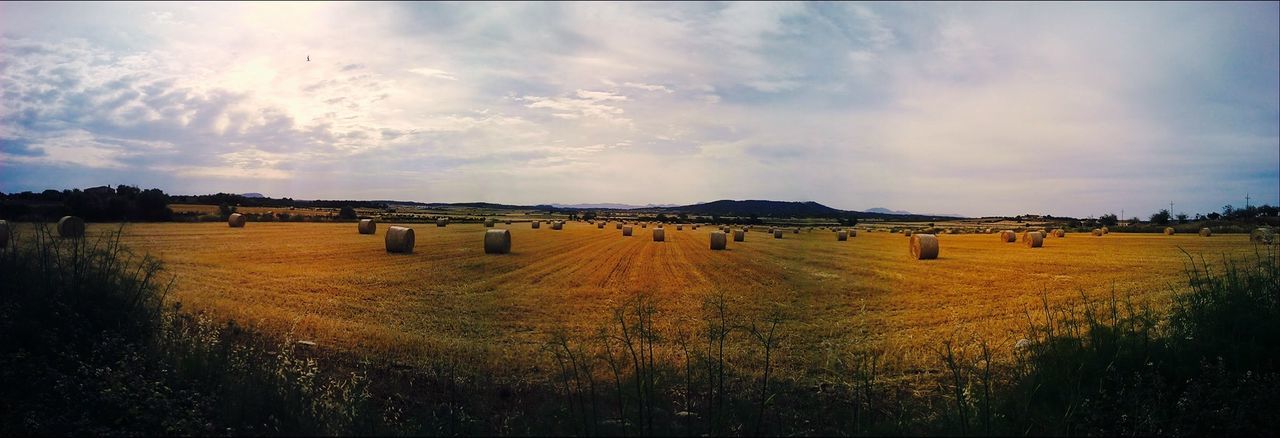 Panoramic shot of hay bales on landscape against sky