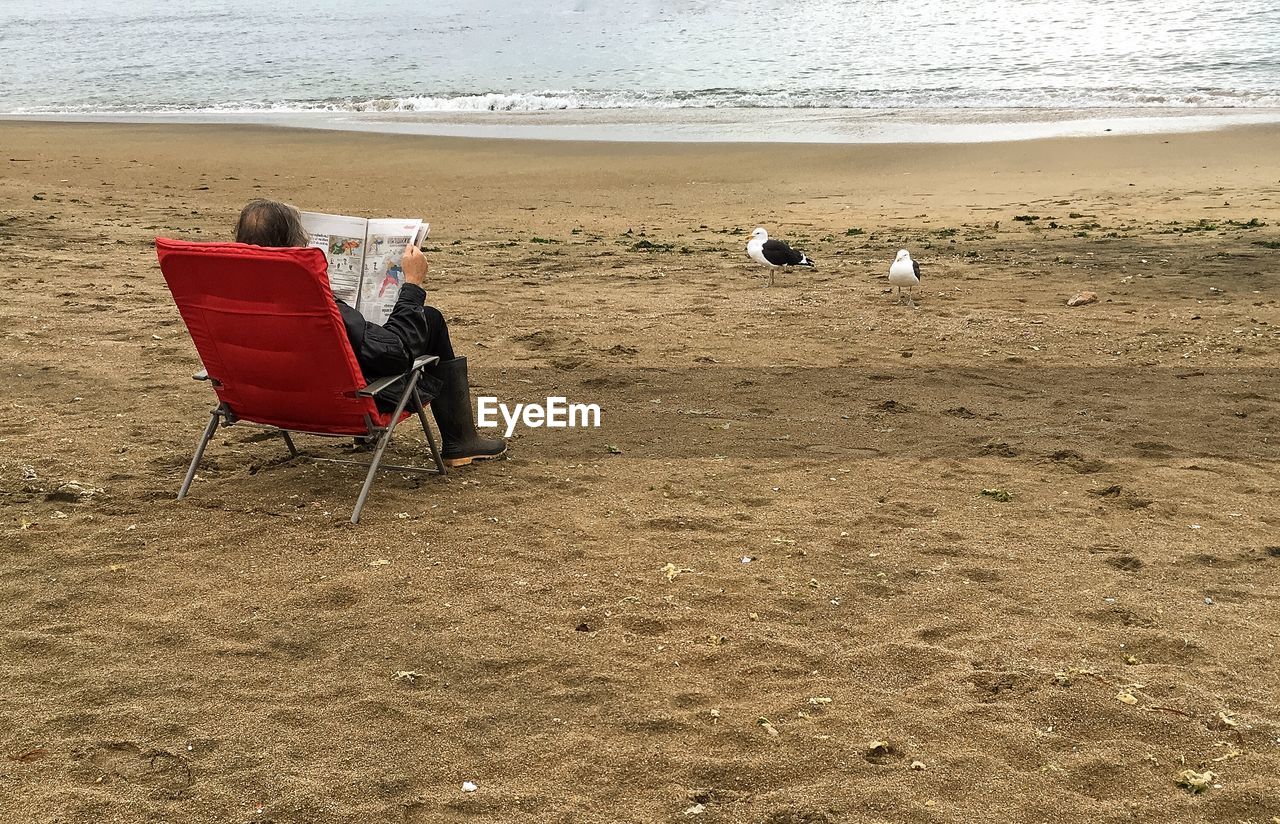 Person reading newspaper on beach