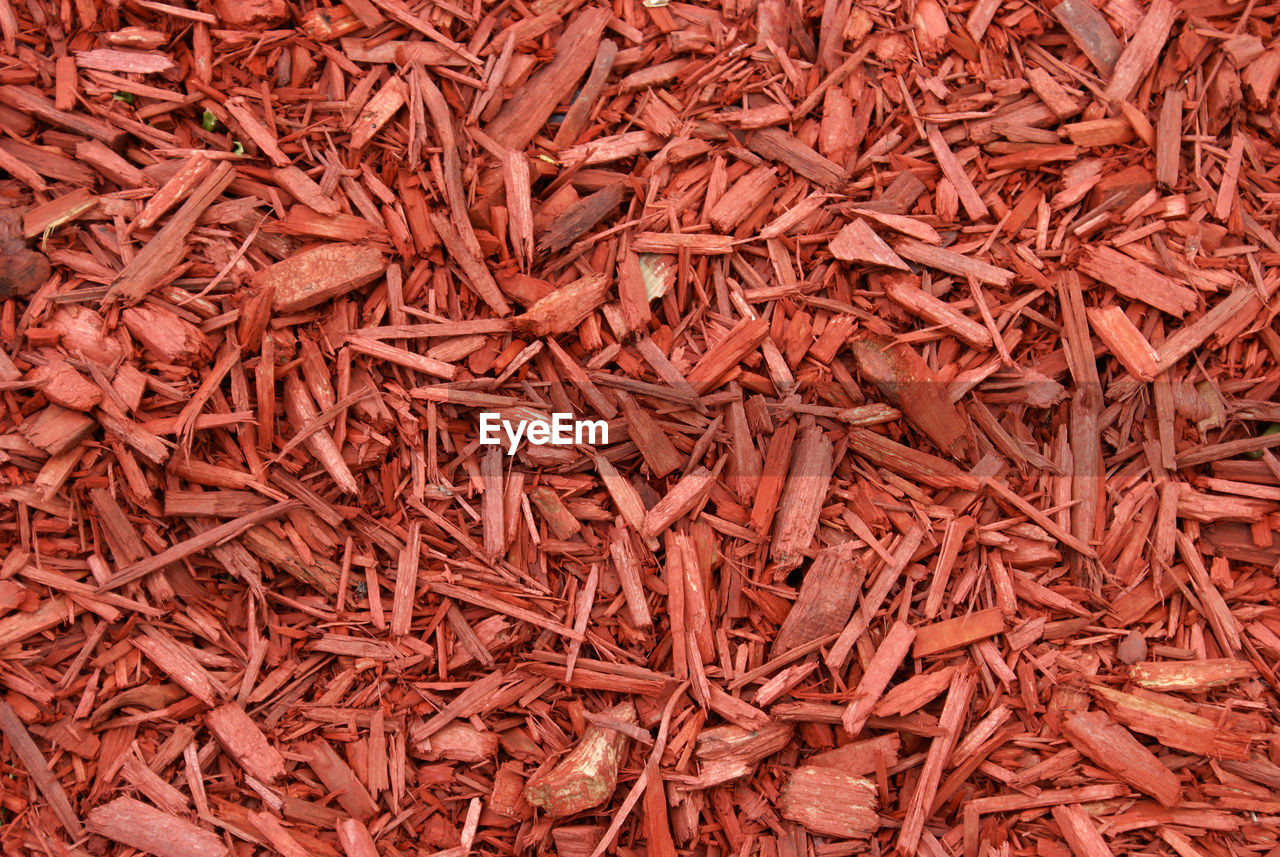 FULL FRAME SHOT OF DRIED EGGS