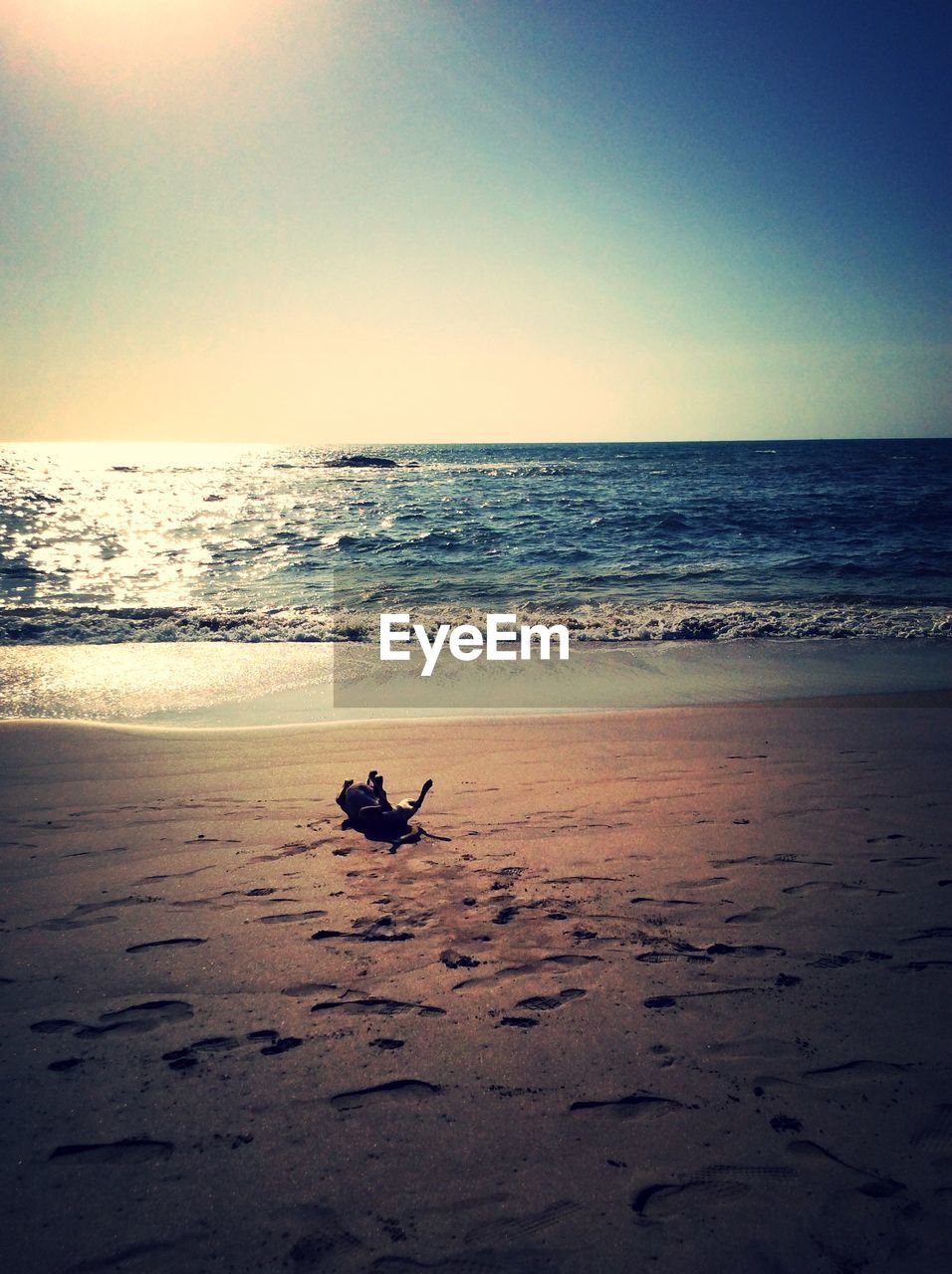 VIEW OF SEA AT SUNSET