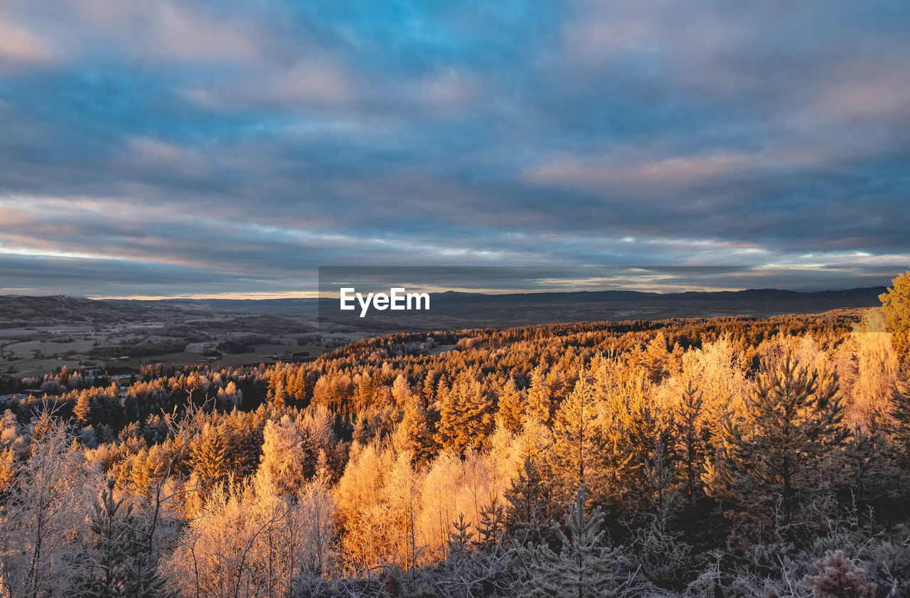 Scenic view of landscape against sky during sunset