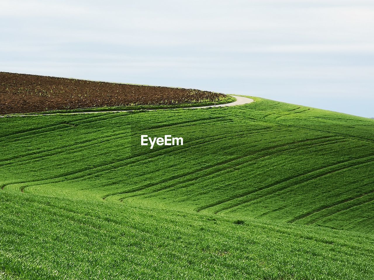 SCENIC VIEW OF AGRICULTURAL FIELD