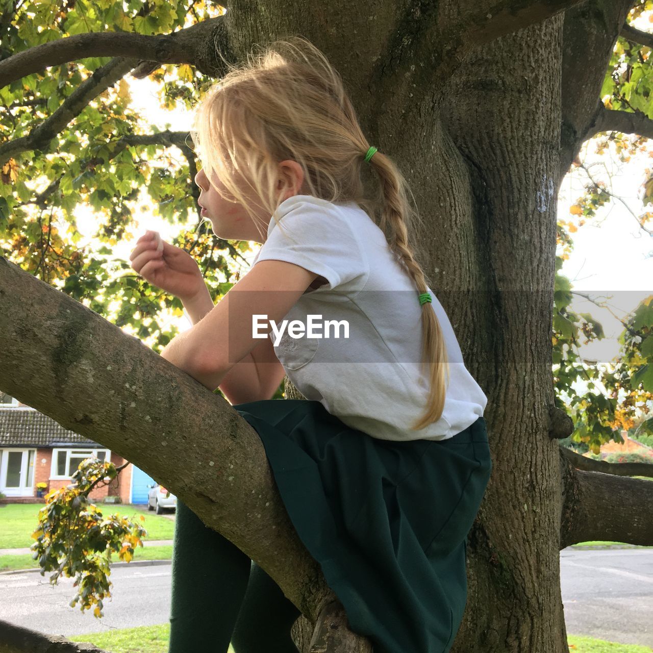 Side view of girl sitting on tree