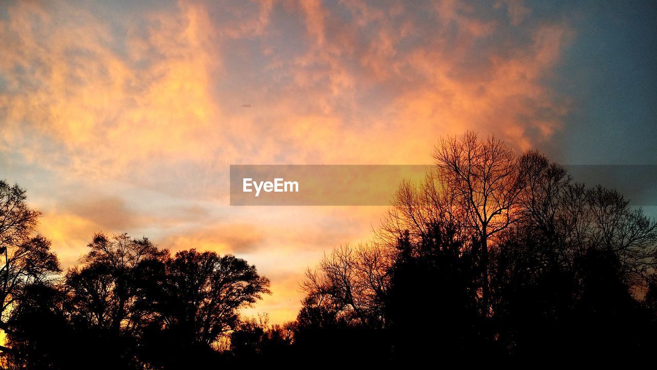 Silhouette trees against sky during sunset