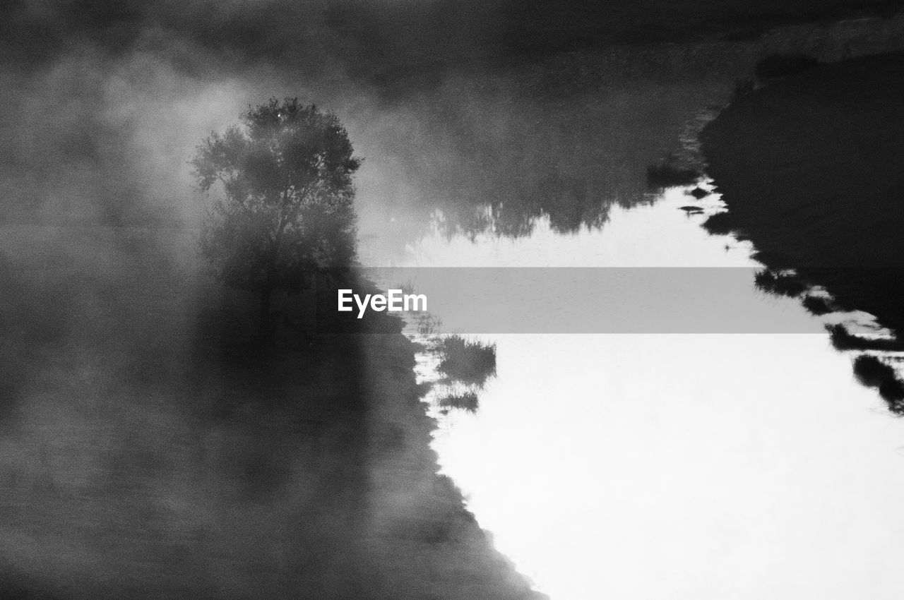 TREES AGAINST SKY DURING WINTER