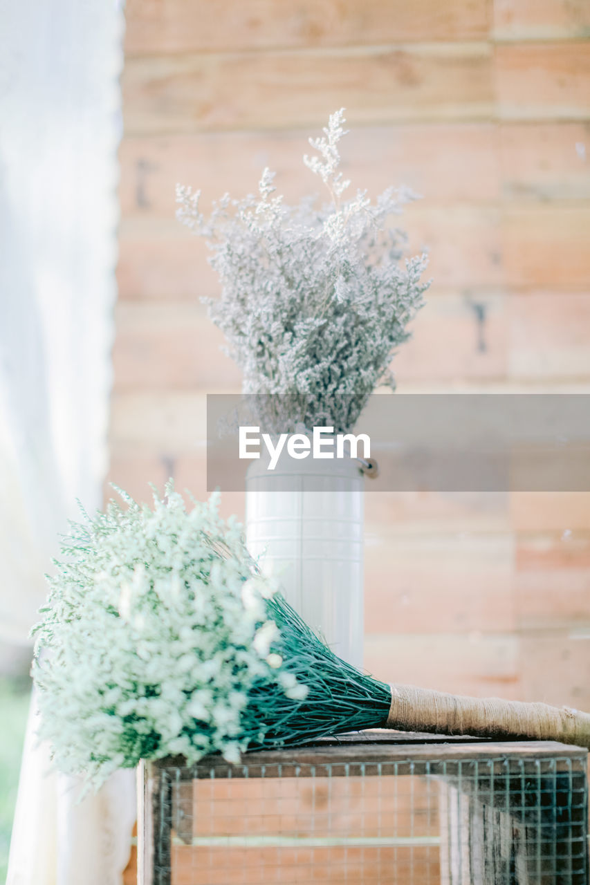 Close-up of white flower pot on potted plant