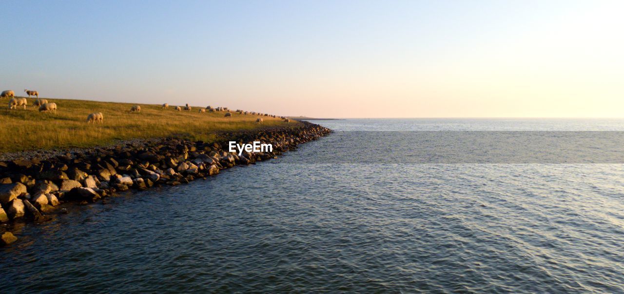 Scenic view of sea against clear sky