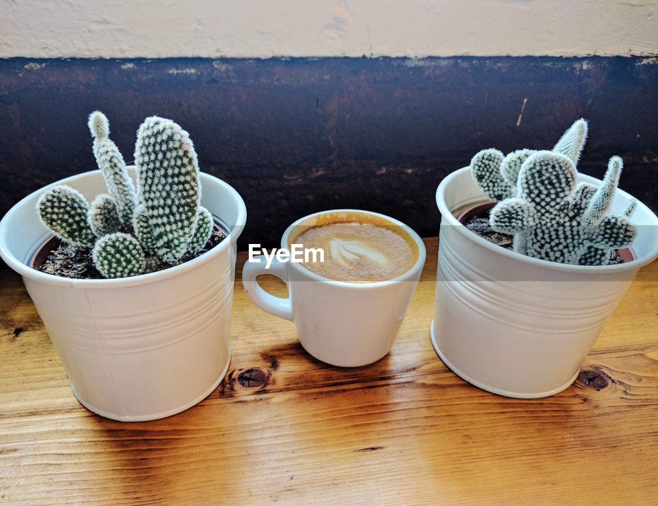 Coffee cup amidst potted plants on table
