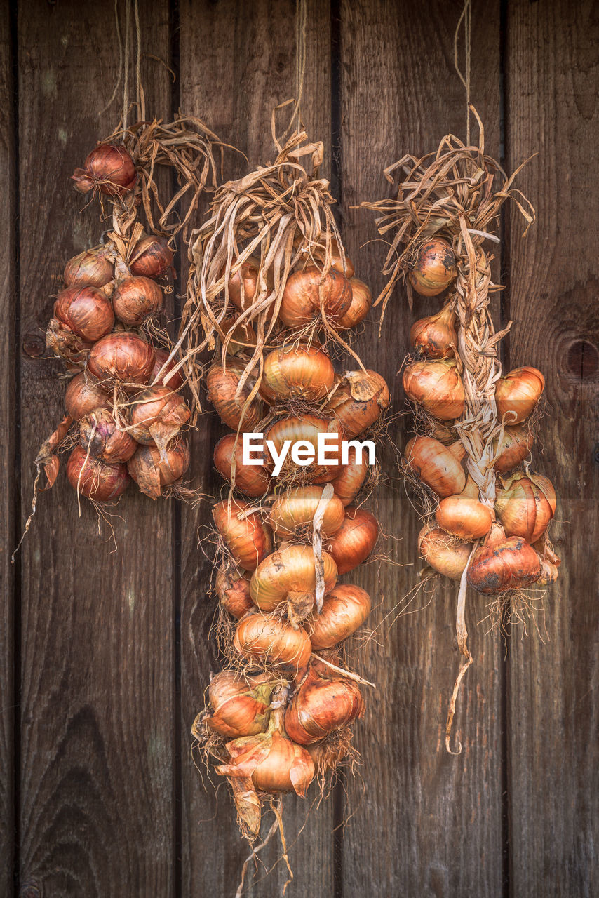 Directly above shot of onions on table