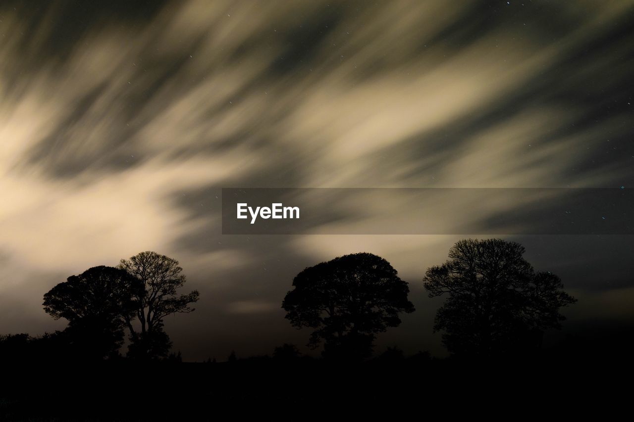 Low angle view of silhouette trees against sky at night