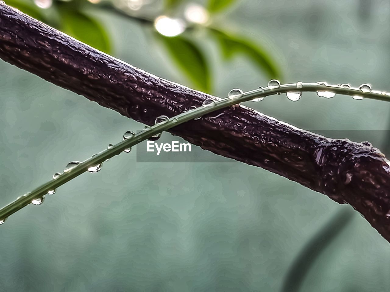 CLOSE-UP OF WATER DROPS ON METAL