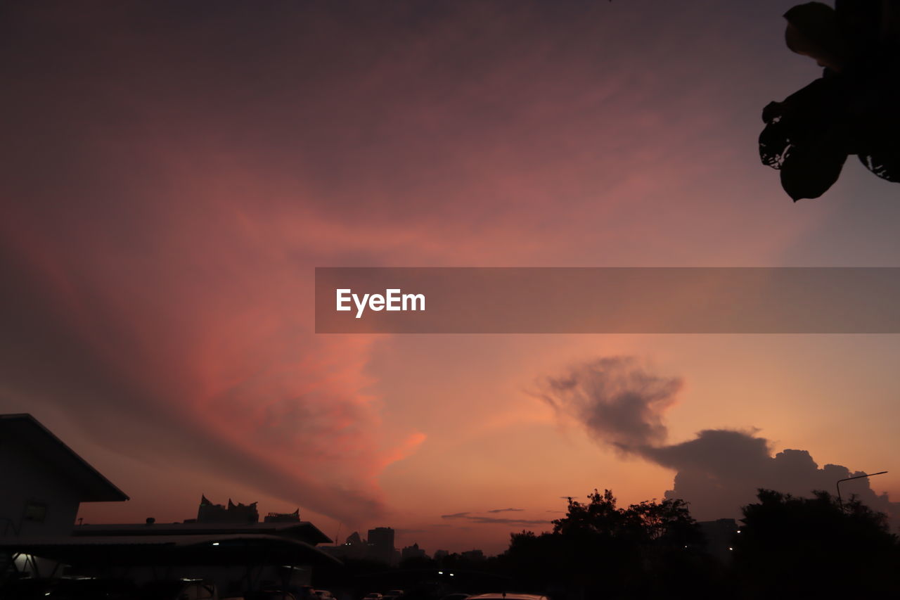 LOW ANGLE VIEW OF SILHOUETTE TREES AGAINST DRAMATIC SKY