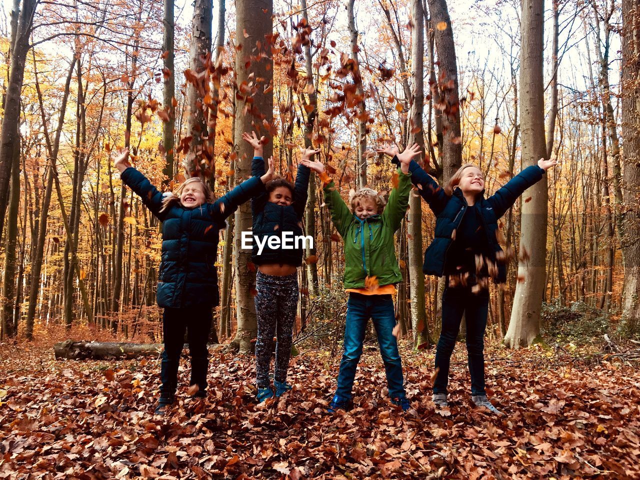 VIEW OF PEOPLE STANDING IN FOREST