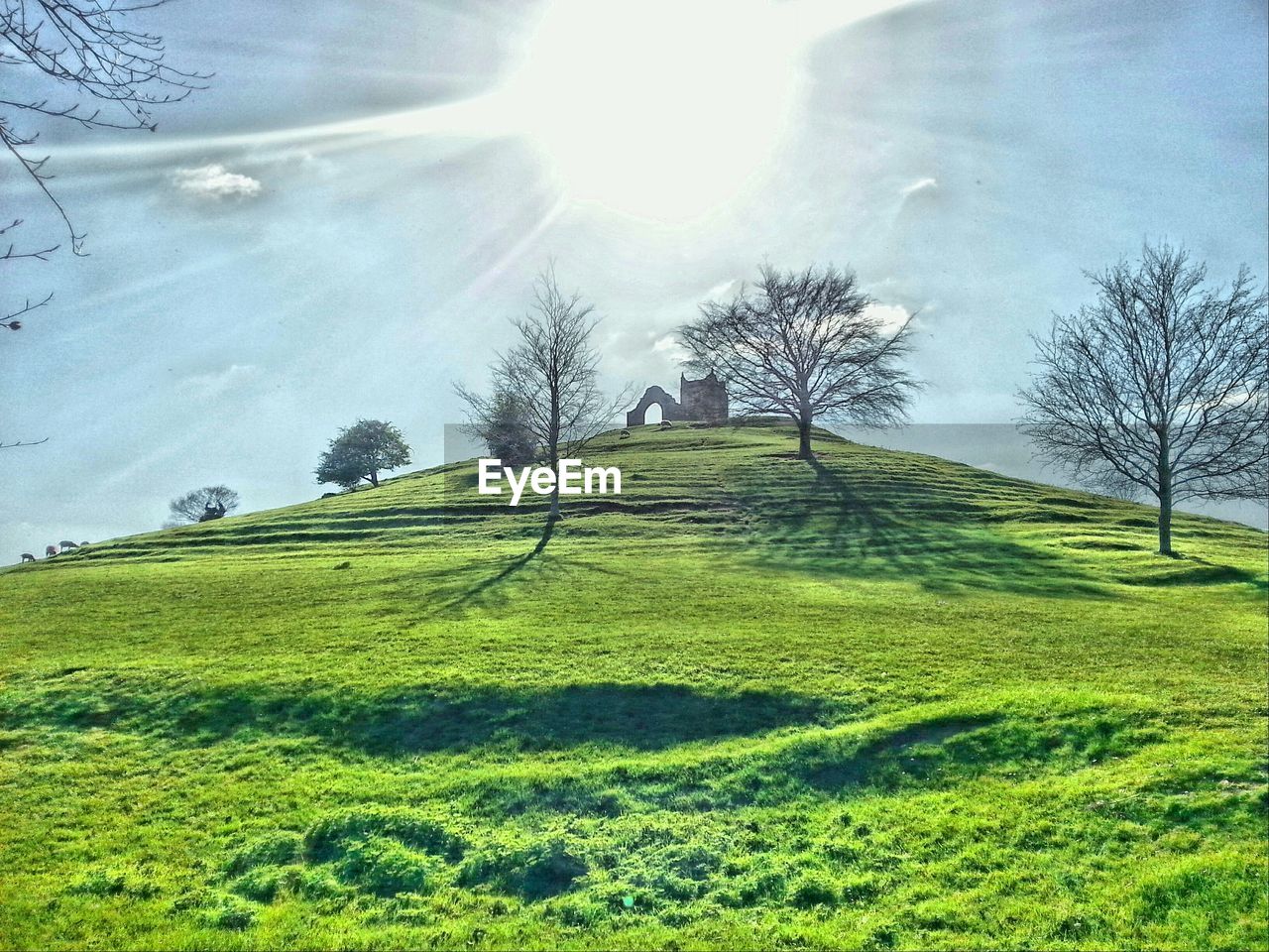 Scenic view of grassy field against cloudy sky