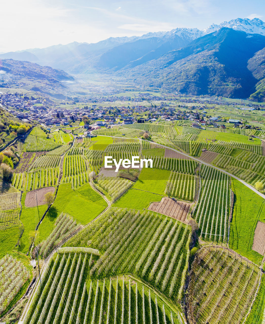 HIGH ANGLE VIEW OF RICE FIELD AGAINST SKY