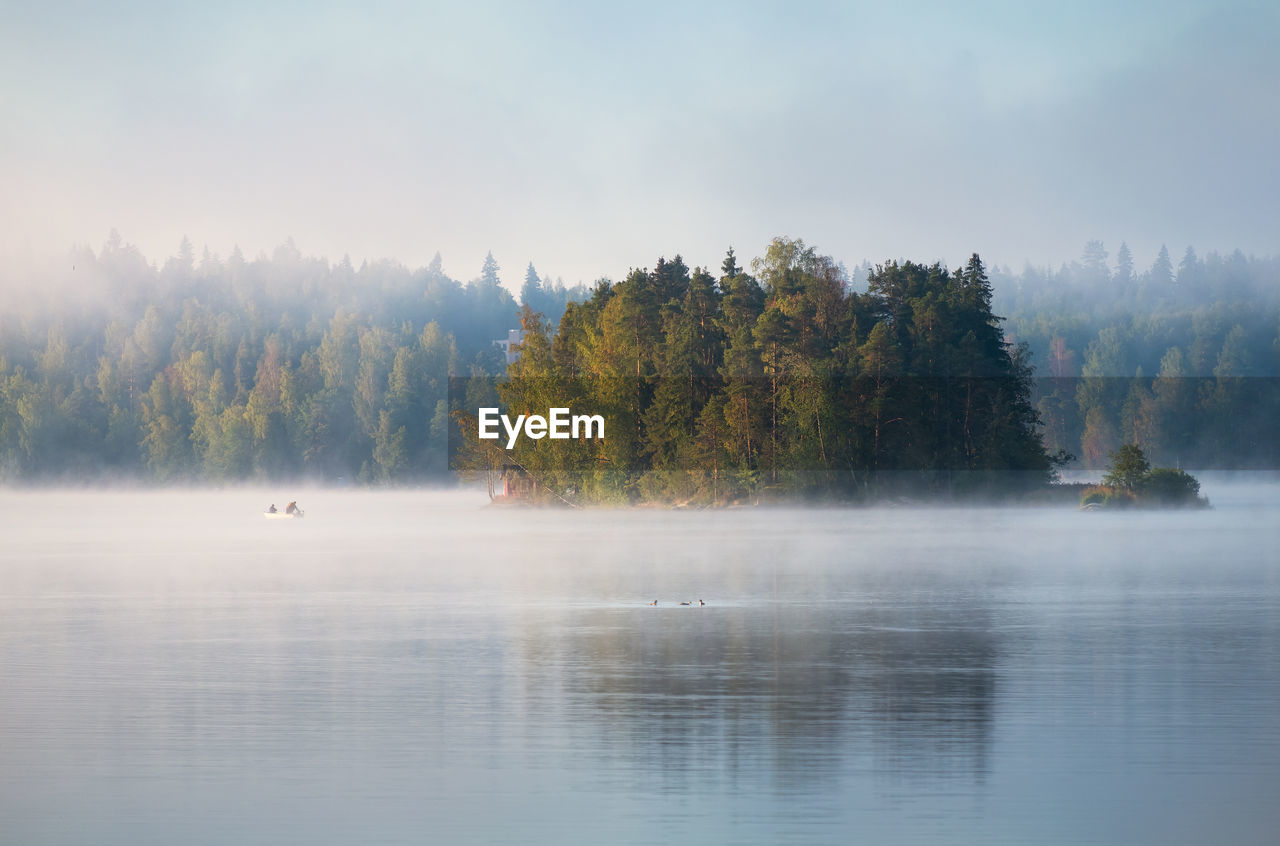Trees by lake against sky during autumn with foggy mood