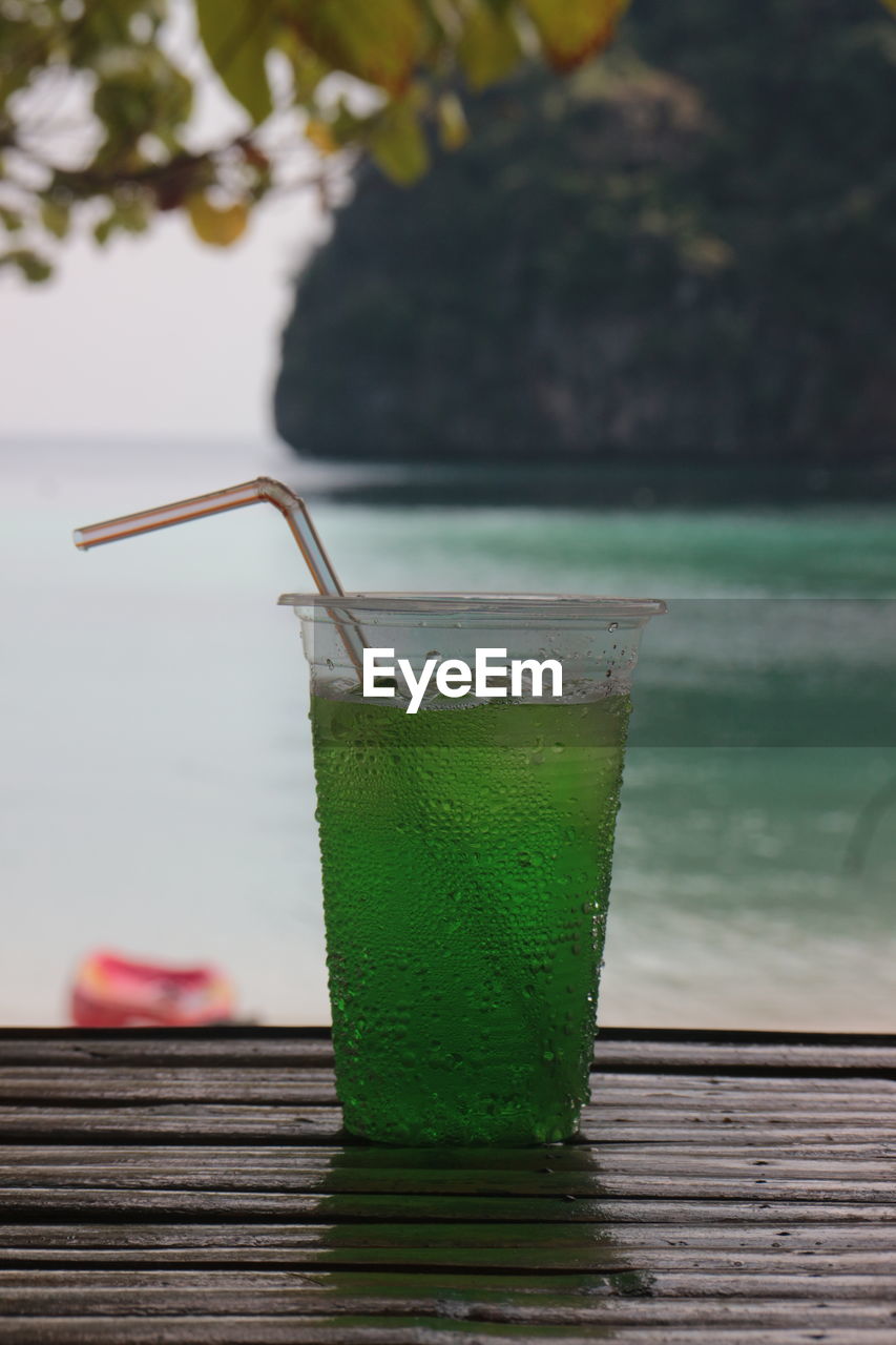 green, no people, yellow, nature, focus on foreground, hanging, wall, leaf, day, plant, outdoors, close-up, window, glass