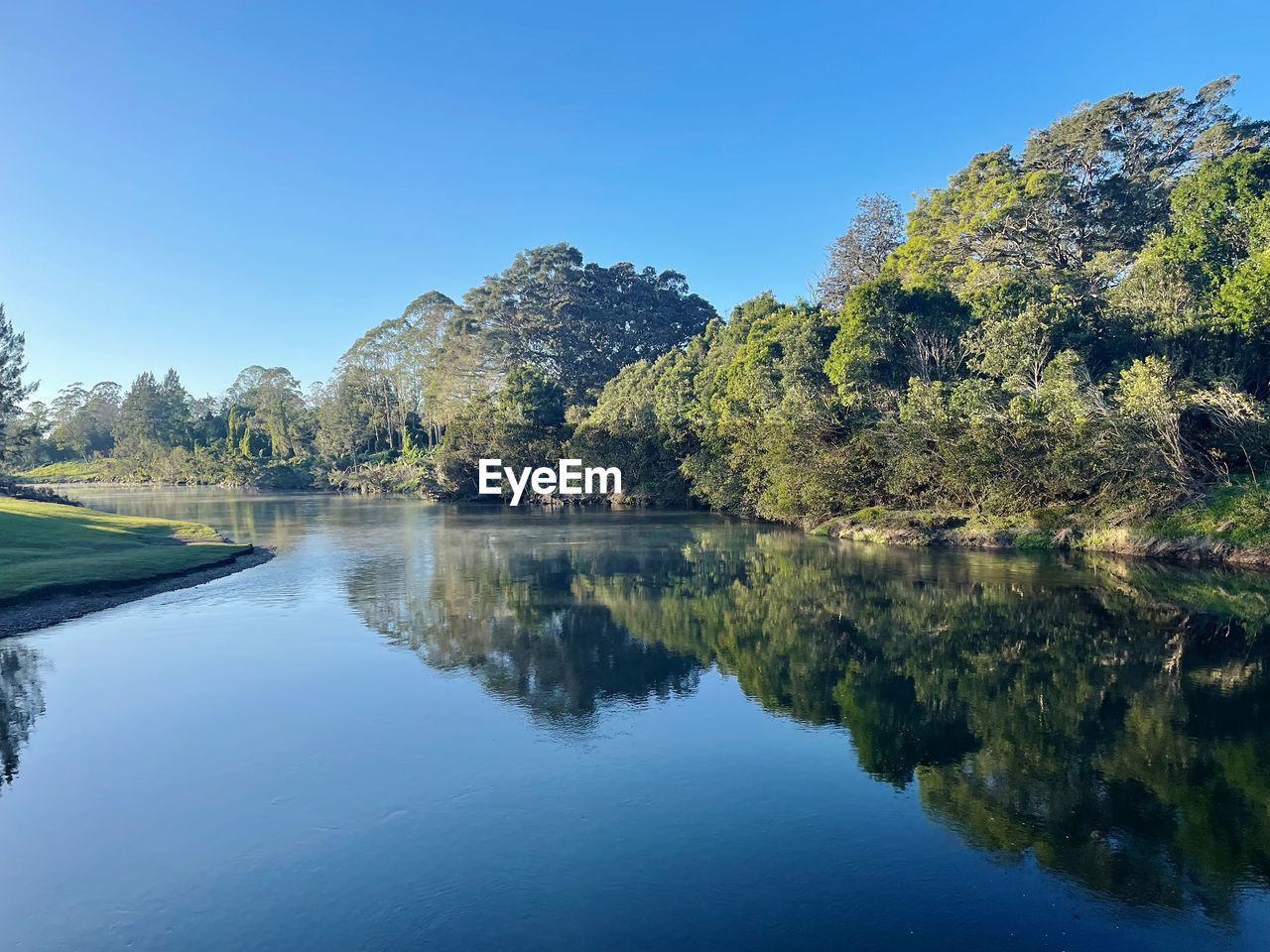 water, reflection, tree, lake, plant, scenics - nature, beauty in nature, sky, nature, body of water, tranquility, tranquil scene, blue, landscape, environment, clear sky, no people, reservoir, land, forest, travel destinations, mountain, non-urban scene, idyllic, outdoors, autumn, travel, day, green, pine tree, pinaceae, tourism, summer, coniferous tree, sunny, pine woodland