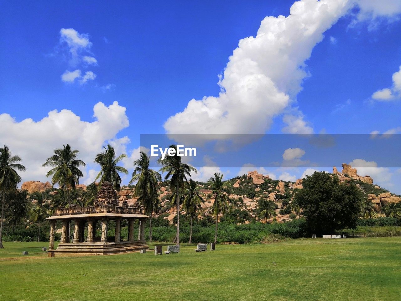 view of palm trees against sky