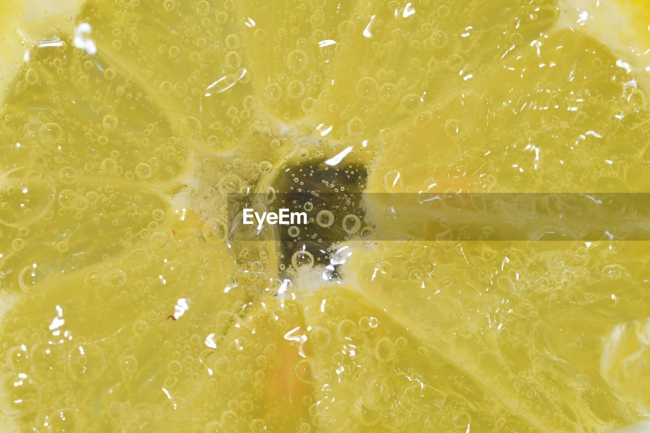 Slice of ripe lemon in water on white background. close-up of lemon in liquid with bubbles. slice of