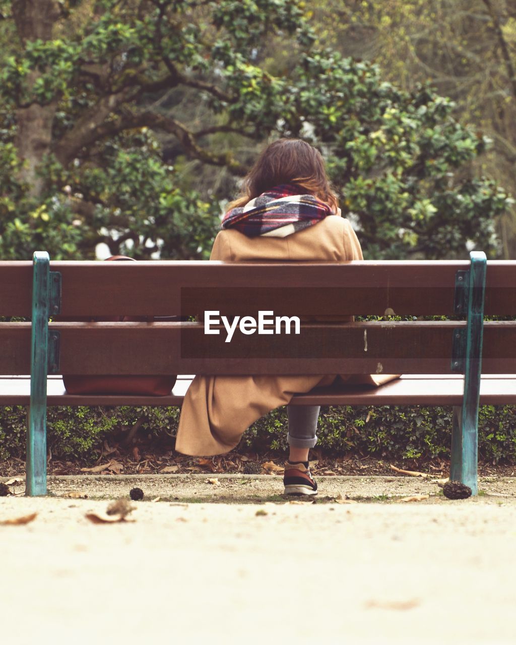Rear view of woman sitting on bench in park