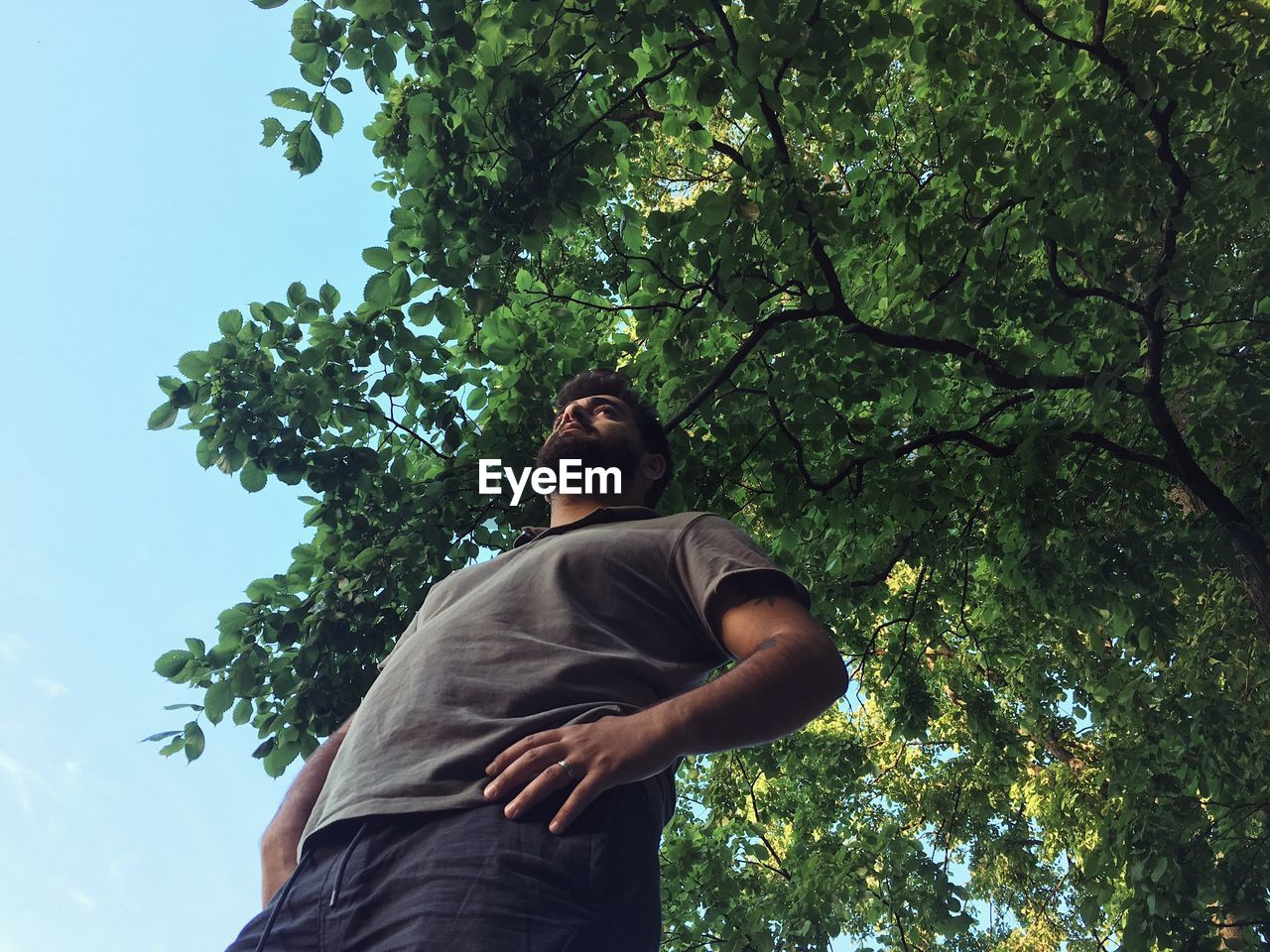 Low angle view of man standing against trees