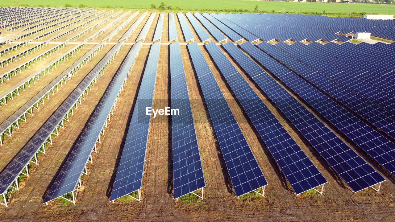 HIGH ANGLE VIEW OF PLANTS GROWING IN FIELD