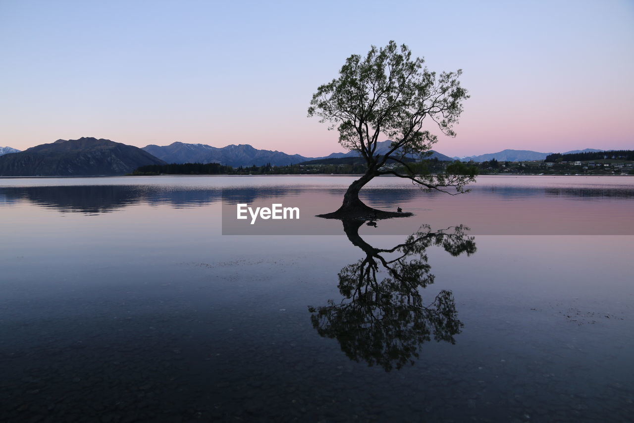Tree reflected in lake at sunset