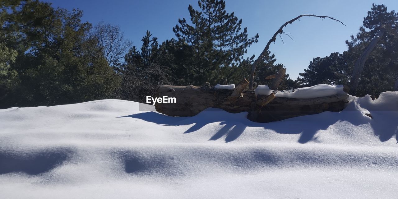 SNOW ON FIELD AGAINST SKY