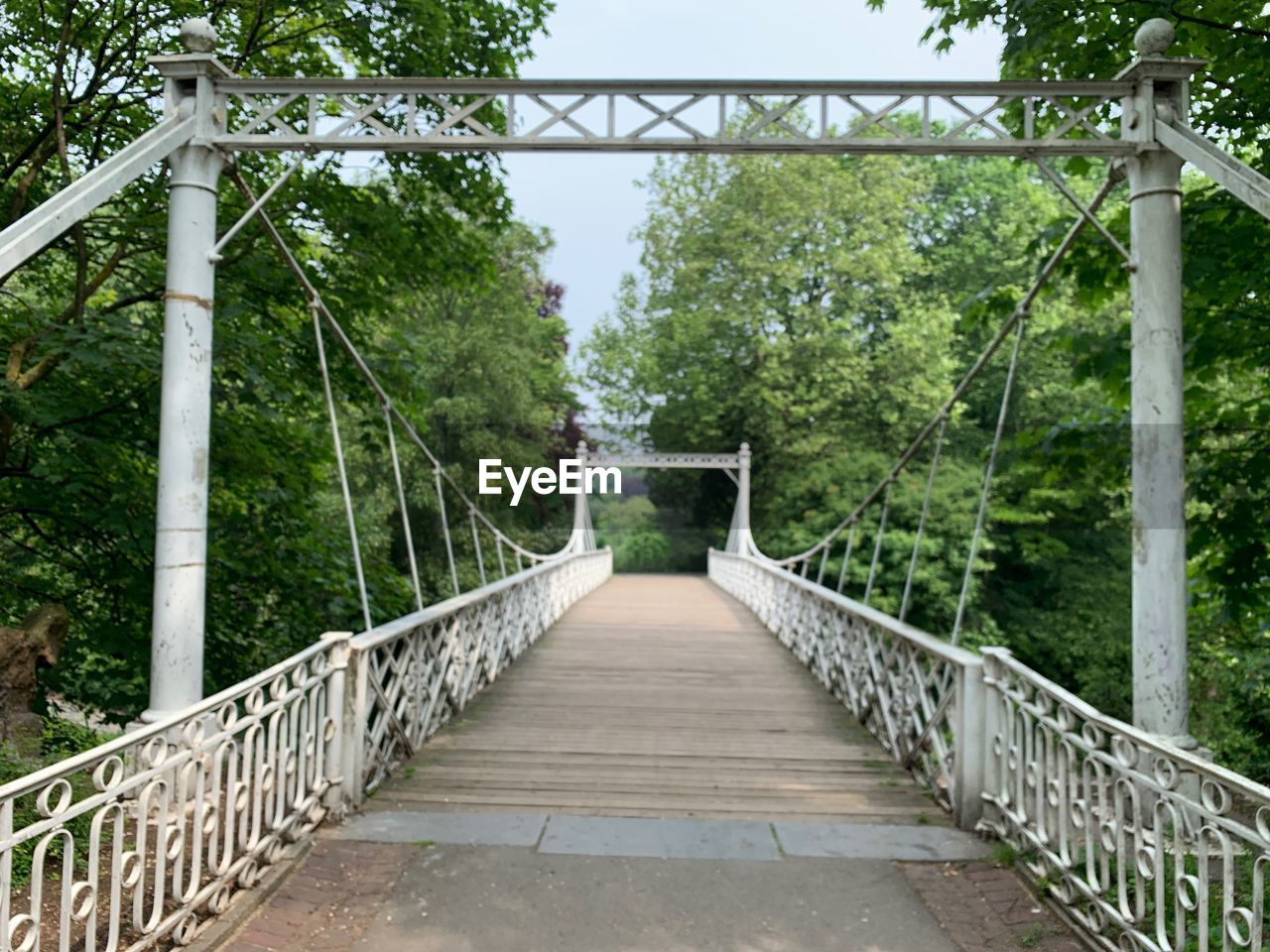 FOOTBRIDGE LEADING TOWARDS FOREST