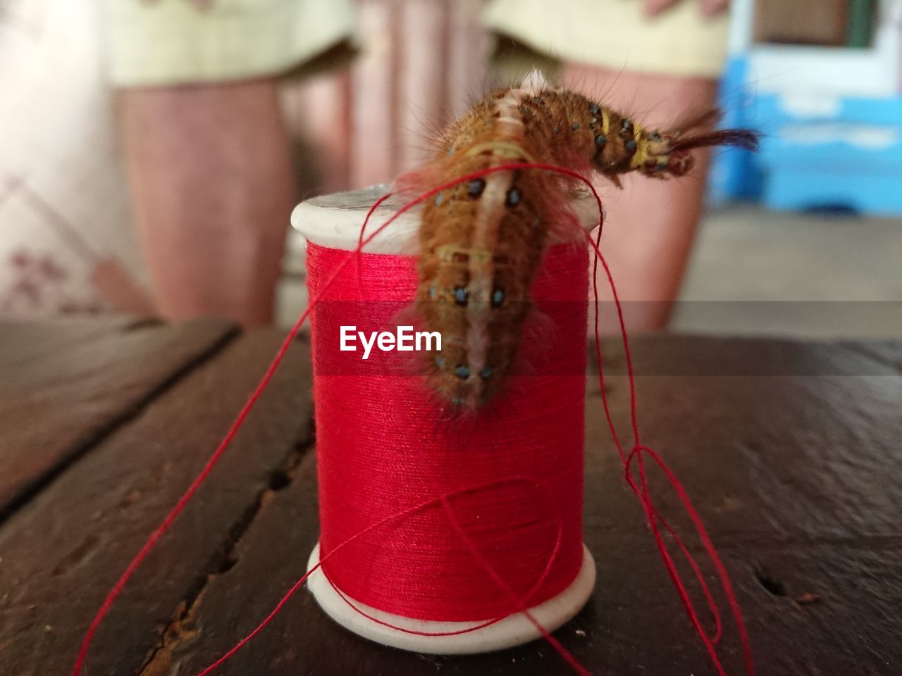 Close-up of thread spool on wooden table