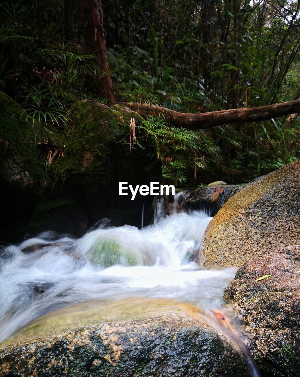 SCENIC VIEW OF WATERFALL